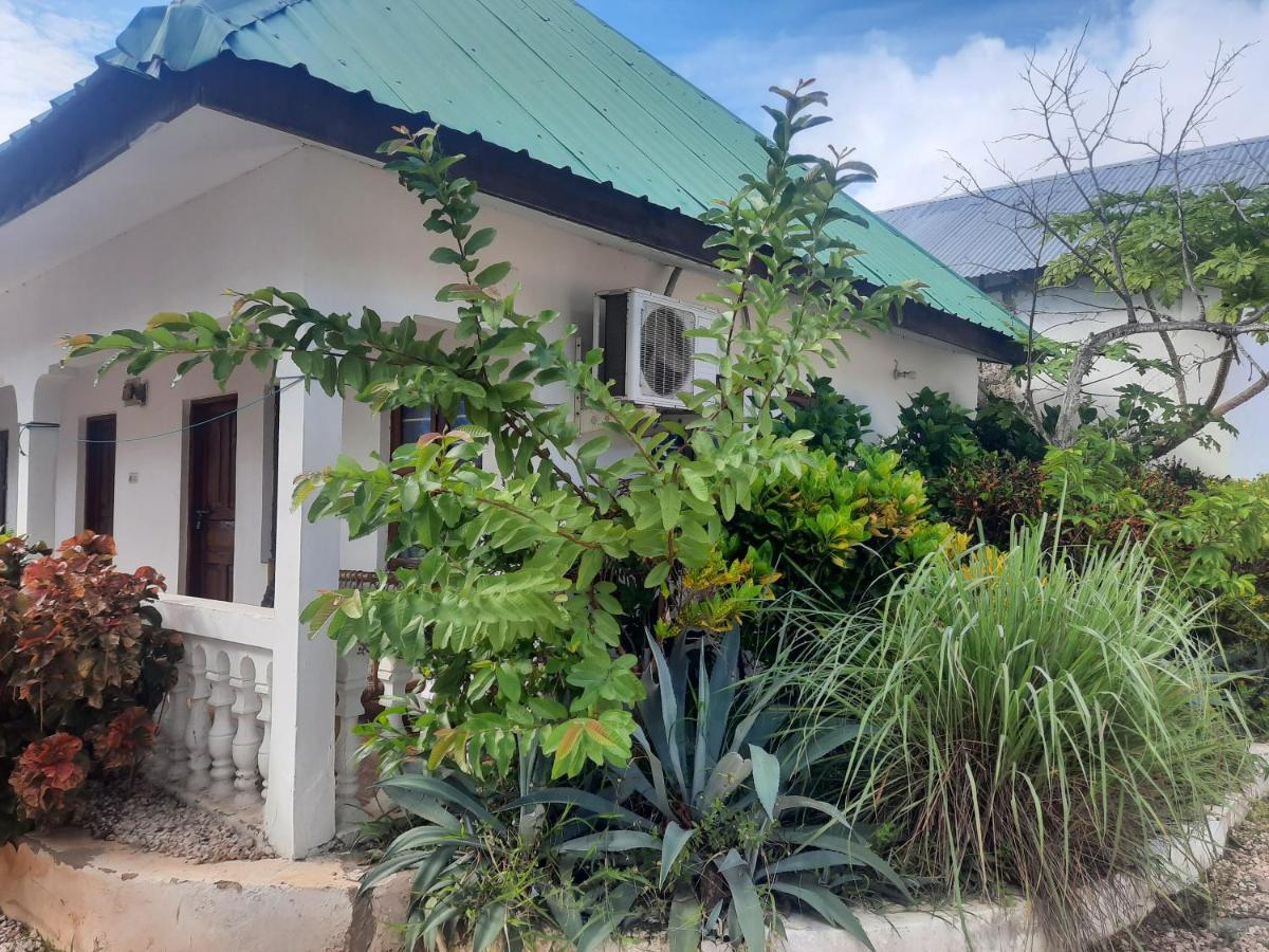 Bed and Breakfast Ames Nungwi Exterior foto