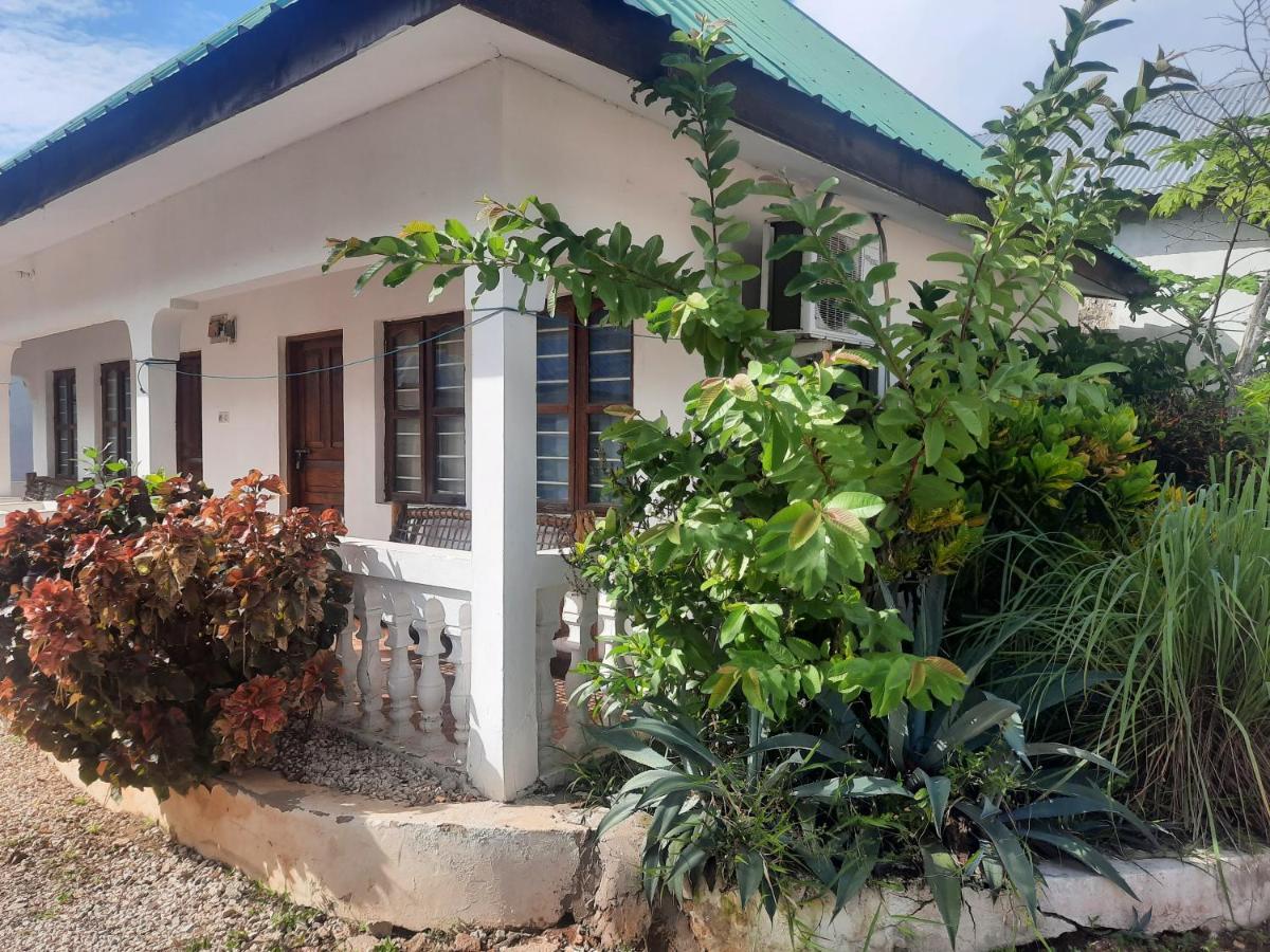 Bed and Breakfast Ames Nungwi Exterior foto