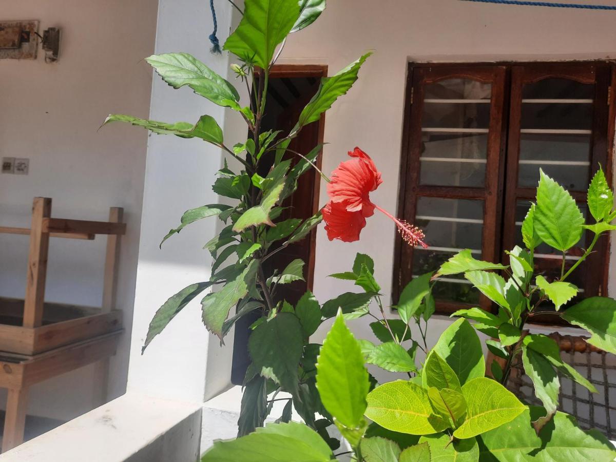 Bed and Breakfast Ames Nungwi Exterior foto
