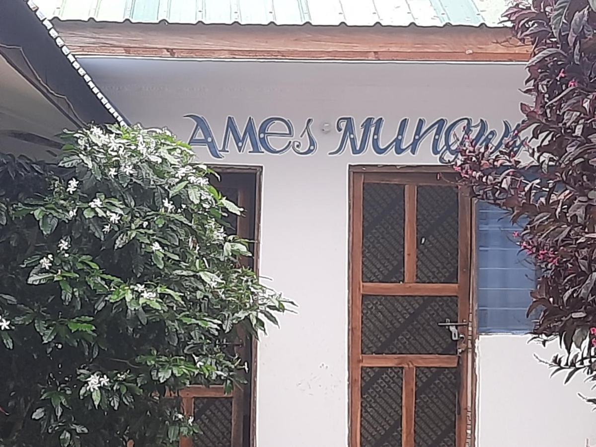 Bed and Breakfast Ames Nungwi Exterior foto